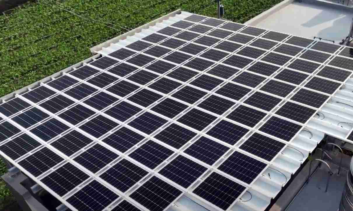 蓝狮在线SunSteel光电浪板升级双玻结构，，，以提升机械负载强度及气候耐候度，，，，可广泛运用于多元场域